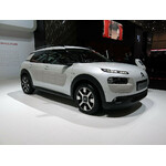 C4 Cactus 14-