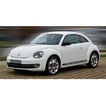 Beetle (11-19)